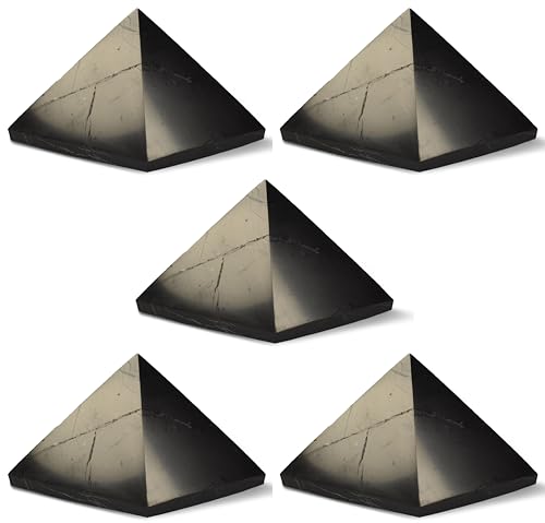 Shungite World 5 pcs Authentic Shungite...