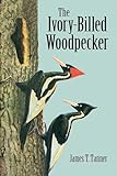 The Ivory-Billed Woodpecker (Dover Birds)