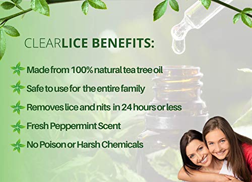 8 oz. Lice Treatment Shampoo and Conditioner - Tea Tree Oil and Natural Enzymes Formula | 1-Day Treatment and Lice Prevention | Effective Lice Shampoo That Kills Eggs and Lice