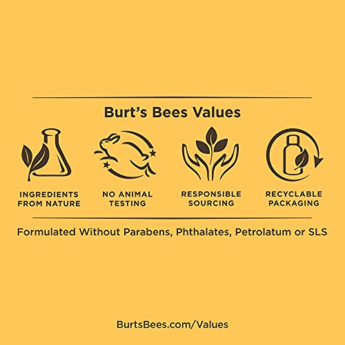 Burt's Bees Conditioning Beard Balm With Aloe & Hemp, For Men, 3 Ounces #TOP1
