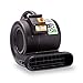 B-Air Grizzly Gp-1 1 HP 3550 CFM Air Grizzly Mover Carpet Dryer Floor Fan for Water Damage Restoration Equipment & Pet Cage Dryer Black