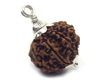 NEXG 9 Mukhi Rudraksha Original Certified Nepal Brown Bead Nav Mukhi Rudraksha With Silver Locket Religious Nine Mukhi Rudraksha 9 Face Rudraksha Nau Mukhi Rudraksha For Unisex 9 ? ? ? ? ? ?
