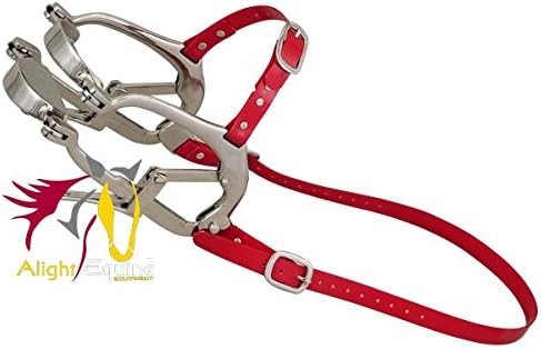 2000 Series Millennium Speculum