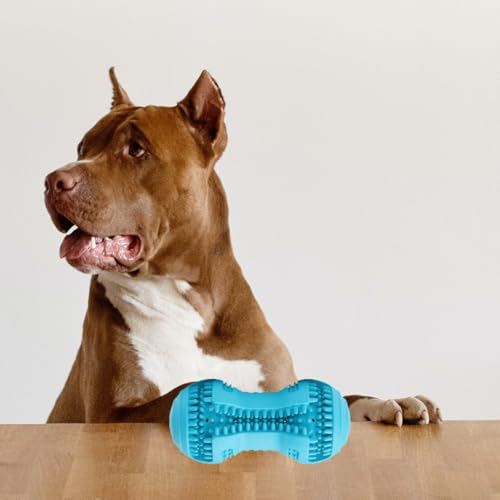 Juguete masticable para cachorros de goma azul interactivo inteligencia 5