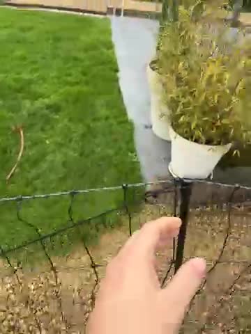 Onzichtbare omheining honden D1000 - WATERDICHT