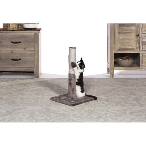 Rascador Moderno para Gatos HomeStock de Diseño Contemporáneo miniatura 3