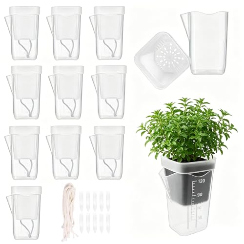Quixion Self Watering Plant Pots Indoor Outdoor Plastic Plant Pots 10 Pack Water Level Indicator and Drainage Holes Flower Pots Mess-Free Planters Garden Flower Vegitable Fruits Plant Pot