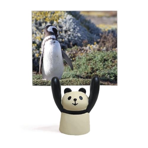 Support pour photo de pingouin pour redonner vie à vos clichés