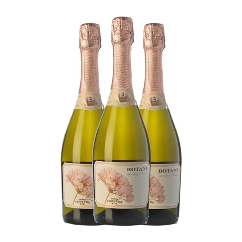 Jorge Ordóñez Botani Moscatel de Alejandría Dulce Sierras de Málaga Joven 75 cl Espumoso blanco (Caja de 3 Botellas de 75 cl)