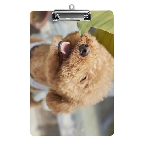 Nbv{[h A4 c^ ΂gCEv[h t@C{[h Ǌ|  ₷ v{[h Ď^т₷  [ cpbh pi  wZ ƒpoC_[