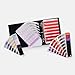 Produktbild PANTONE FHIP230C Color Specifier and Guide Set  Color Specifier mit herausnehmbaren Chips und zwei handlichen Farbfächern