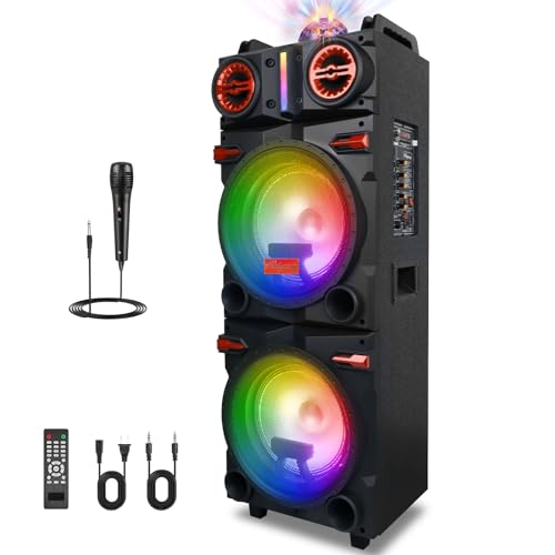 ROXAAN 80W Wireless Portable Bluetooth Speaker with Dual 10