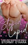 Stupid Cupid: a cozy, spicy, small-town, paranormal, 90s Valentine’s Day novella (Holiday Spirits)