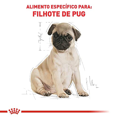ROYAL CANIN Ração Pug Puppy 2,5Kg