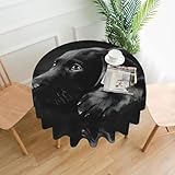 Materiale e dimensioni: la tovaglia con motivo cucciolo di labrador nero è realizzata in 100% poliestere di alta qualità. Diametro 152 x 152 cm. Adatto per tavolo da pranzo che può ospitare 4-6 persone.