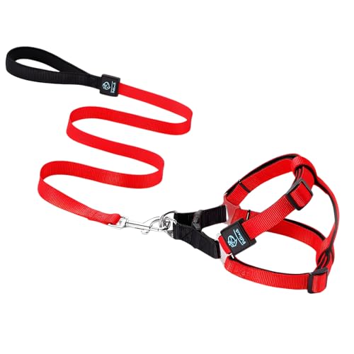 [Yizibuur]yyʃn[lXZbgzƁyybz J[ ʋCK ȒPE I[V[YΉ ՂȂ ϋv Lp U AEghA s