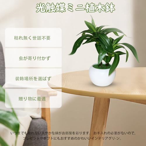 Q・L・Y 観葉植物 フェイクグリーン 3点セット ミニ 卓上 モンステラ アイビー ユリタケ PP鉢 造花 インテリア 置物 玄関 リビング おしゃれ [5]