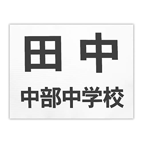 [bP _ 2iCAEg vg TCY30cm×25cm J[   