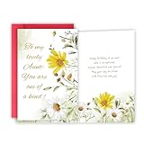 FSSDAS Happy Birthday Card for Aunt, Birthday Card Gifts for Aunt from Niece, Nephew,...
