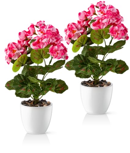 PASCH Künstliche Geranien im Hochglanz-Keramiktopf | Kunstblumen im Topf | Künstliche Blumen wie echt | Fake Blumen | Kunstblumen wie echt (Rosa 2 Stück 25cm)