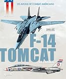  Avions de combat américains : F14 Tomcat
