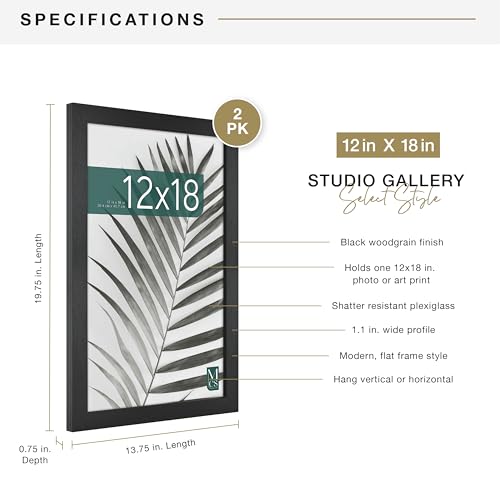 MCS Studio Gallery 12x18 Picture Frame Black Woodgrain, Rectangle Photo Frame for Photos, Posters & Art Prints (2-Pack)