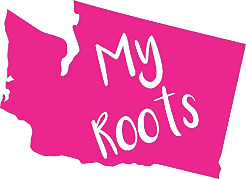 Georgia Peach Decal Sticker – Custom Sticker Shop