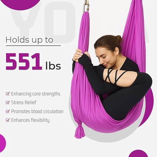 HECASA Aerial Silks Yoga Swing Set, Aerial Yoga Hammock w/Daisy Chain for Home, Inversion Exercises, Strength Training and Starter Kit