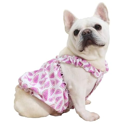 Moorfowl Watermelon Dress for Dogs Cover