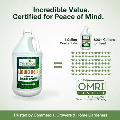GS Plant Foods Liquid Kelp Fertilizer – Suitable for Organic Growing, OMRI Listed Seaweed Concentrate for Lawns, Gardens & Soil - 1 Gallon (Makes Up To 800+ Gallons)