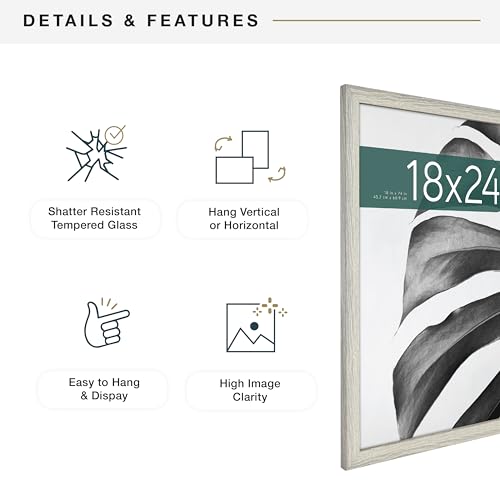 MCS Studio Gallery 18x24 Poster Frame White Woodgrain, Vertical & Horizontal Wall Hanging Large Picture Frame for Photos, Posters & Art Prints (2-Pack)