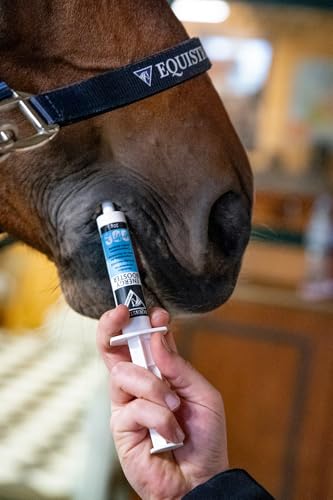 EQUISTRO® Energy Booster | Ergänzungsfuttermittel für Pferde | Hochkonzentrierte Nährstoffe für Ausdauer & Leistungsfähigkeit | Premium Qualität | 20g