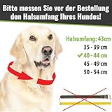 CopcoPet Hundehalsband aus Fettleder 30–34 cm x 15mm Braun – Geflochtenes Lederhalsband – Messing mit Dornschließe – Robust & verstellbar – Für kleine Hunde, ideal für Alltag & Training