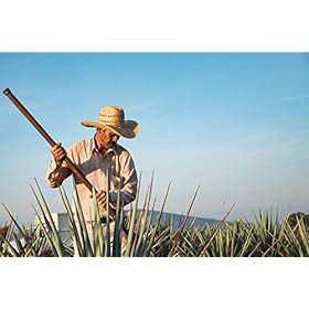 Ocho Blanco Tequila, 50 centiliter Award Winning Premium Tequila - Made Get 100% Blue Agave - Single Estate