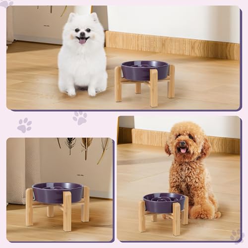 Gamelle anti-glouton design pour le repas des chiens en intérieur