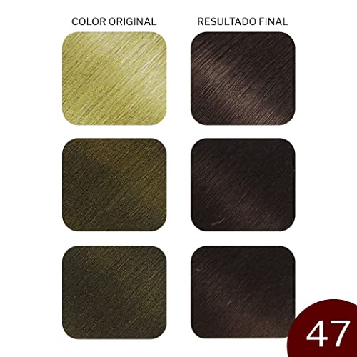 Coloración, Drugstore tinte bigen Marca Bigen (3)