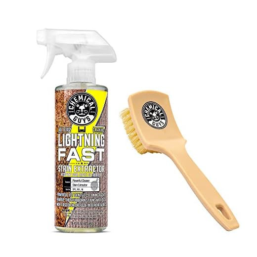 Chemical Guys Carpet & Upholstery Stain & Spot Remover Bundle with (1) 16 oz Lightning Fast Stain Extractor and (1) Nifty Detailing Brush