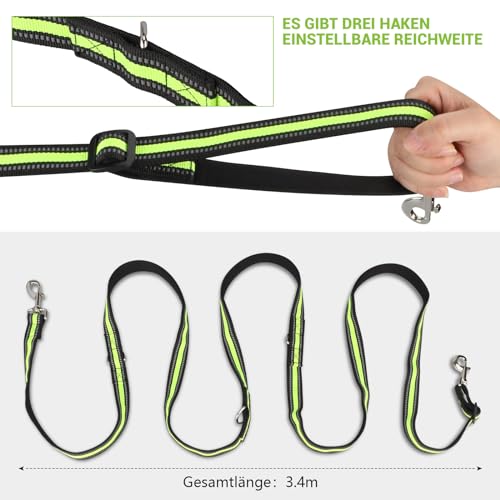 Hundeleine für große und mittelgroße Hunde - Verstellbare Doppelleine aus Nylon mit 2 Karabinerhaken und 3 Ringen - 3m x 15mm (Fluoreszierendes Grün)