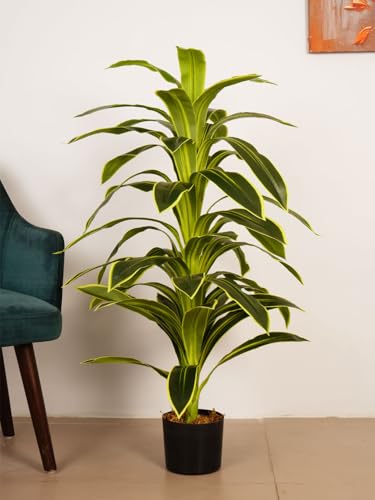 Image of ARICK DECOR 4Ft Artificial Variegated Dracaena Plant in Pot, 4ft Realistic Faux Song of India Tree, White Green Peacock Shaped Floor Plant for Home & Office