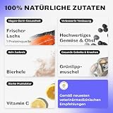 HEY HOLY Premium Trockenfutter für Bulldoggen 100% getreidefrei | 7kg Hundefutter für ausgewachsene Bulldoggen mit Lachs | Hochverträglich aus natürlichen Zutaten