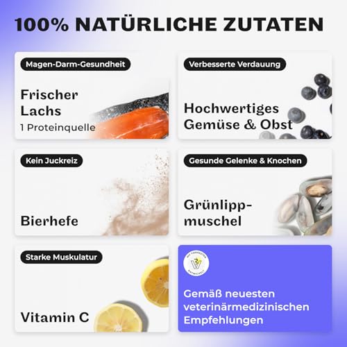 HEY HOLY Premium Trockenfutter für Bulldoggen 100% getreidefrei | 7kg Hundefutter für ausgewachsene Bulldoggen mit Lachs | Hochverträglich aus natürlichen Zutaten