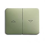 Busch-Jaeger 1785JA-260 BUSC Serienwippe 1785 JA-260 Abdeckung Für Jalousieschalter/-Taster