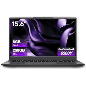 Computadora portátil de 15.6″, 8GB RAM 256GB SSD, procesador dorado 6500Y (2 núcleos, hasta 3.4 GHz), pantalla FHD de 1080P, cámara web, WiFi 5, BT5.0, tipo C, gris espacial, computadoras