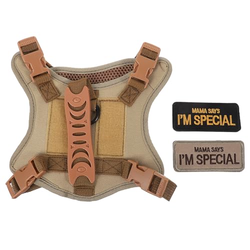 DINHEAROM Lp n[lX - Eh~Lbgn[lX[V - g[jOpybgxXg - ߉\ȃEH[LOWPbg J[L