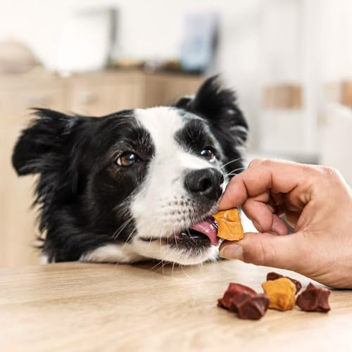 8in1 Flavours Skewer Bites Fleisch-Snacks - proteinreiche Hunde-Leckerlis mit Hähnchebrust, Entenbrust oder Hühnerleber, 100 g Beutel