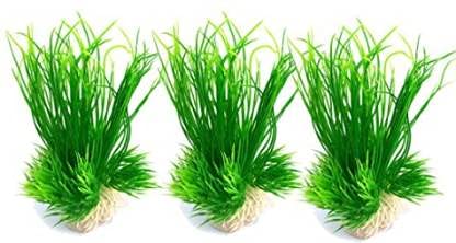 See full amazon price history chart for Kapoor Pets™ Artificial Aquarium Plants Plastic Décor Fish Tank Ornament Decorations, 3 Pcs Size 2.5 Kapoor Pets™ Artificial Aquarium Plants Plastic Décor Fish Tank Ornament Decorations, 3 Pcs Size 2.5 (B0995VFBQ7) Amazon Price History, Amazon Price Tracker