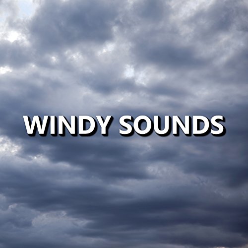 Windy Sounds Wind Sounds Digital Music
