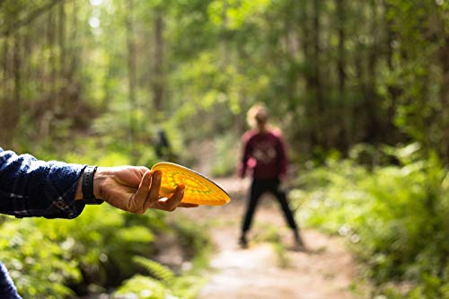 Waboba Wingman-Foldable Silicone Disc-Fly Straight and Far, Perfect for Kids and Adults, Model-Colour, Color Wheel