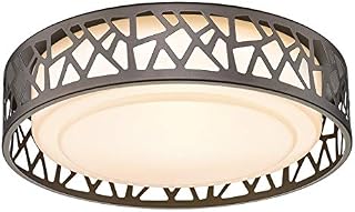 Flush Mount Ceiling Light, VICNIE 12 inch 15W LED Dimmable Lighting Fixture, 3000K