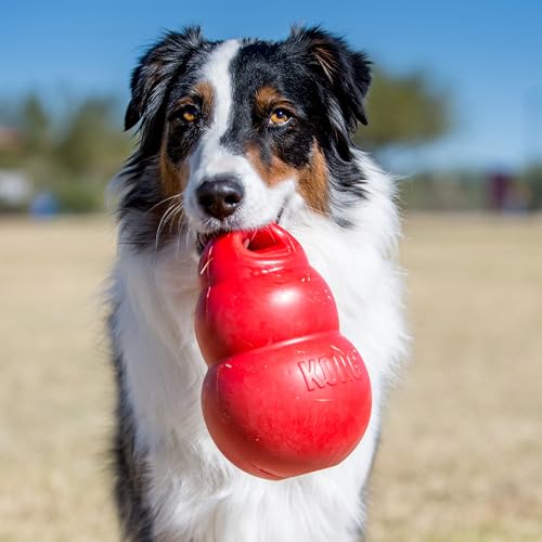 KONG Bounzer Hundespielzeug - Weich und Flexibel - Klassisches Design - Groß - Rot